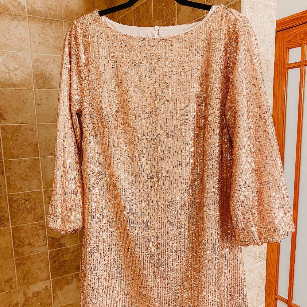 LOFT Blush Sequin Dress